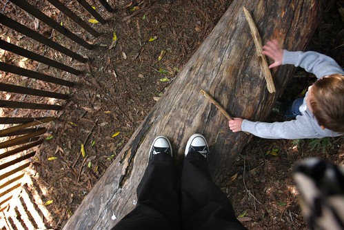 standing on a log that cooper drums on