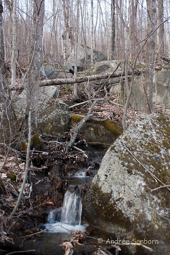 The Brook Out Back (97 of 100).jpg