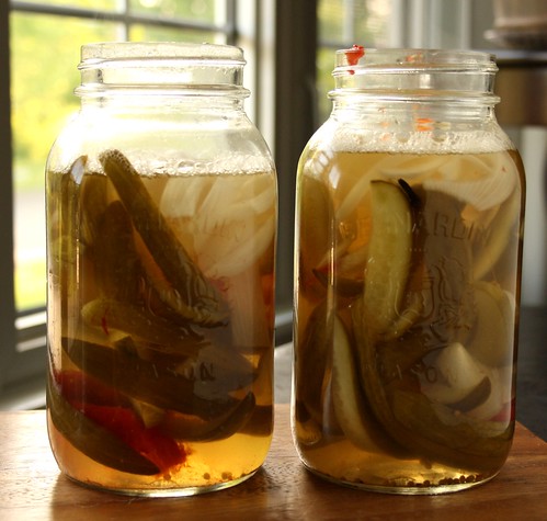 Old New Brunswick Kitchens' Bread and Butter Pickles