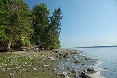 Padilla Bay