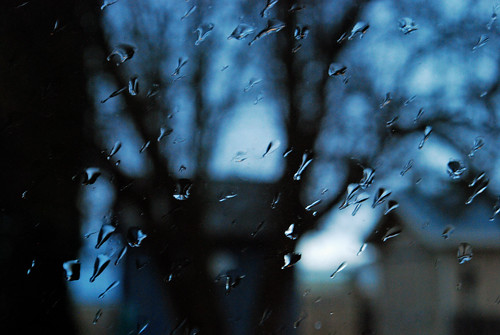 Raindrops on the Window by Sandee4242