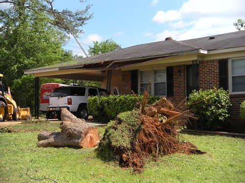 pics of tornado damage in tuscaloosa. Fwd: Tornado damage in