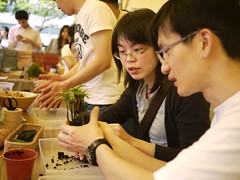 可以動手製作的「創意苔玉球」。民眾用雙手將水苔、土壤、植栽進行捏塑，創造獨一無二的桌上花園。