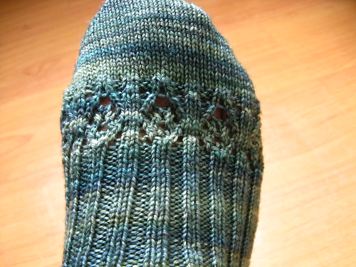 Porifera Socks