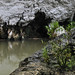 Sohoton Caves