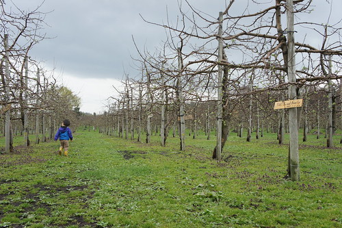 apple farm on April 30