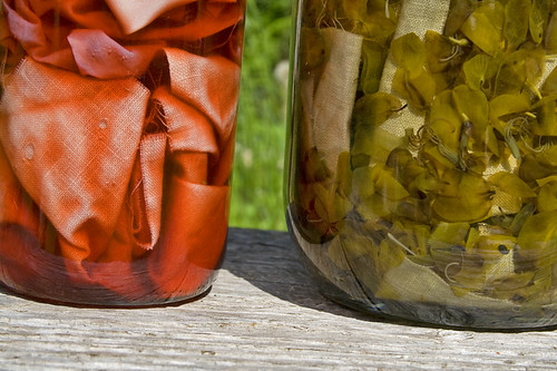 dye jars in the sun
