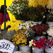 Oltre a frutta e verdura anche fiori al mercado (Valparaiso)