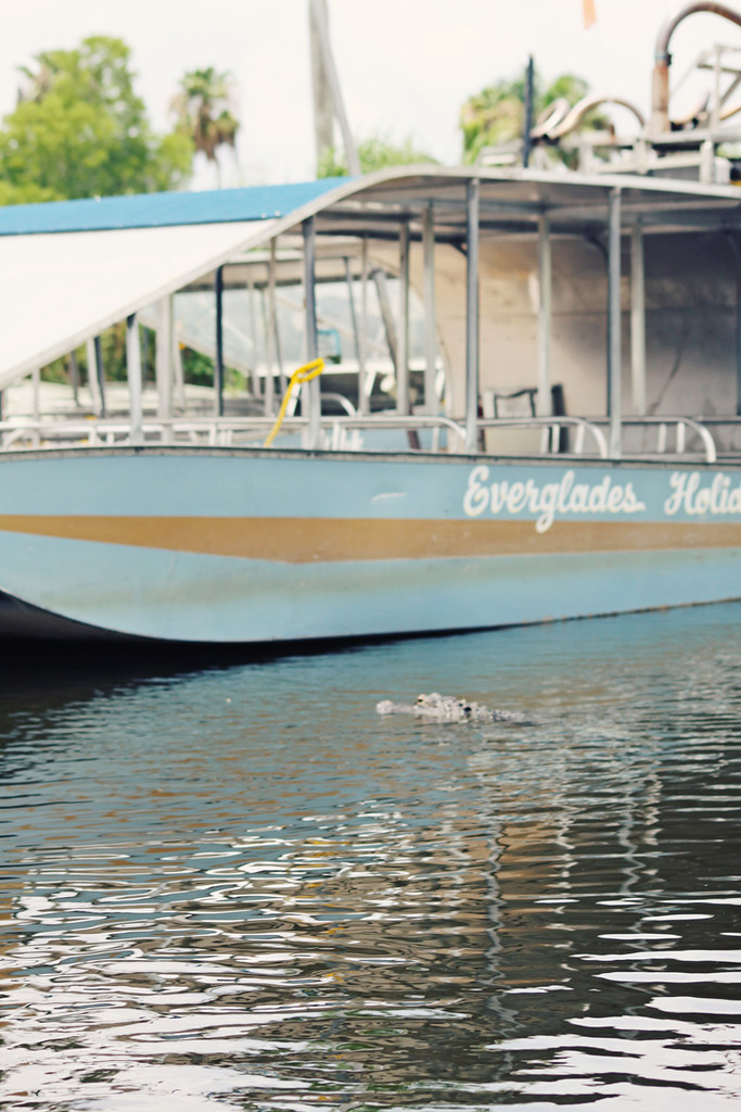 Everglades Holiday Park gator boat