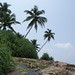 SriLanka2011 031