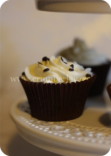 Apr, 2011 - Chocolate cupcakes with vanilla whipped buttercream
