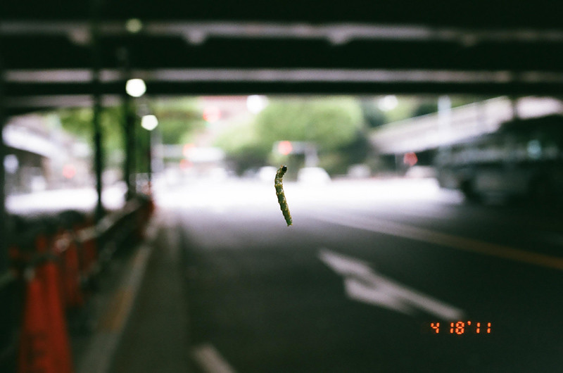 caterpillar_26