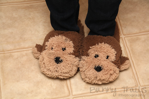 115-monkey slippers
