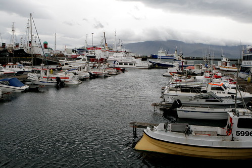 Reykjavik Harbor