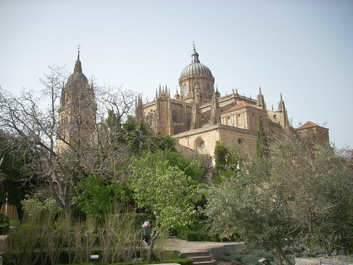 Catedral nova de Salamanca