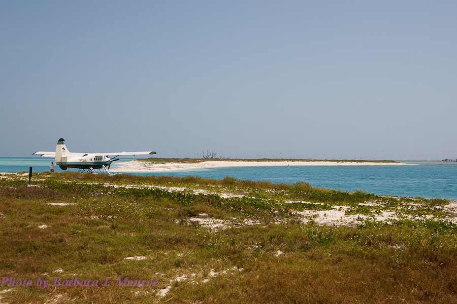 Dry Tortugas National Park (16 of 21)