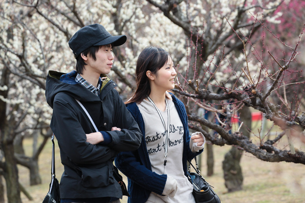 People and Plum blossoms