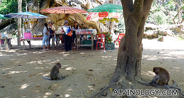 Lazy monkeys greeted us at the cave entrance