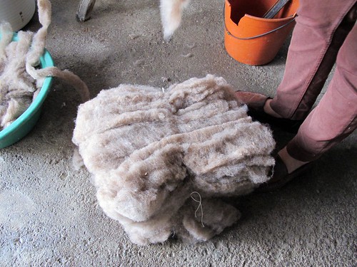 pastas de lã