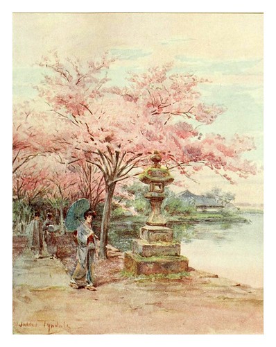 007-Flores de cerezo y linterna de piedra en el parque Ueno-Japanese gardens 1912-Walter Tyndale