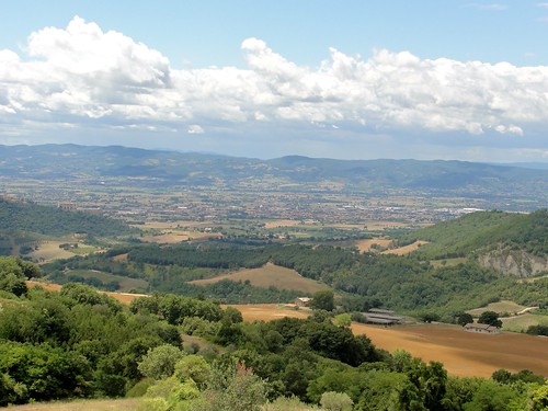 Italy Countryside Picture: Umbria, Assisi, Summer