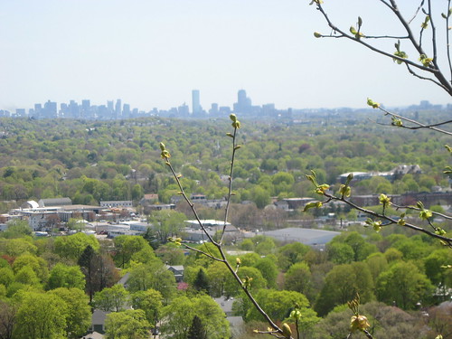 cityscape from Prospect Hill