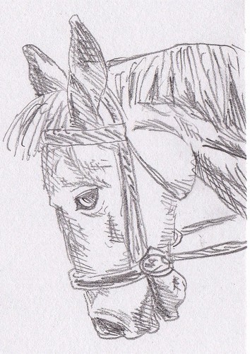 Dro: Horse Doodle 05/09/11 by stephro