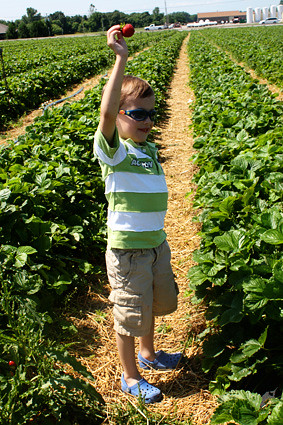Nathan-holding-up-strawberry