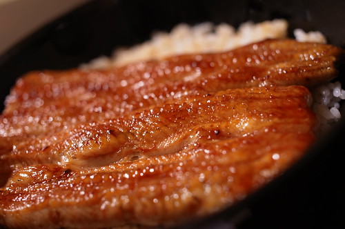 Grilled eel on rice (unaju) @Obana