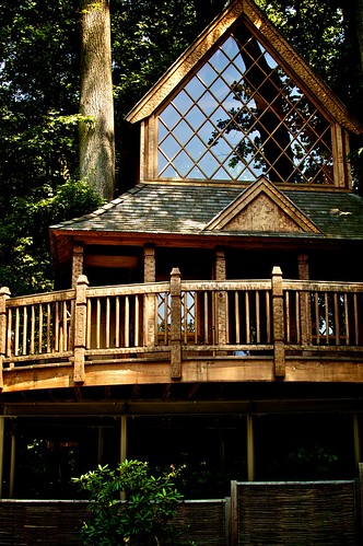 Canopy Cathedral Treehouse