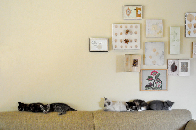 Kittens_On_Couch