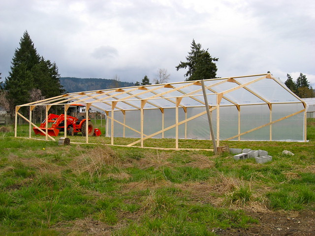Half built greenhouse 02