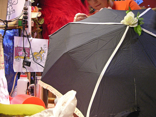 MayDay 2011 umbrella 