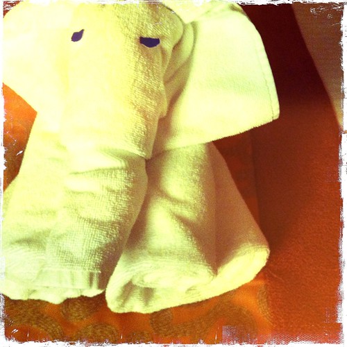 towel folded elephant
