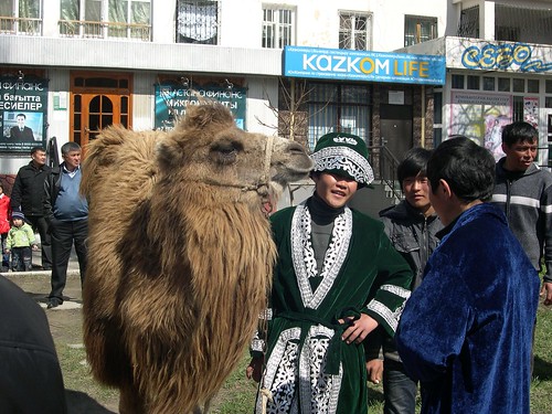 Guy with Camel ©  upyernoz