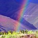 173 - Rainbow Promise