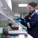 Two decades of research have gone into Castrol Magnatec's intelligent molecules.