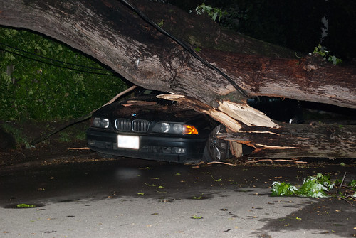 Lytton Park BMW storm damage - #158/365 by PJMixer