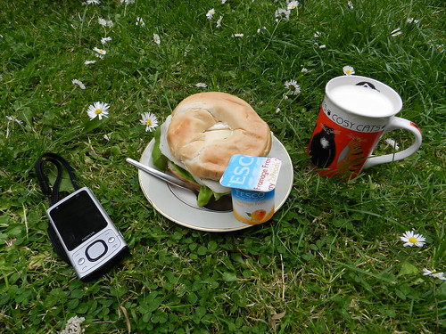 Lunch in the garden