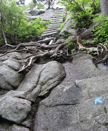 Rocks, roots, arrow on Grandfather Trail