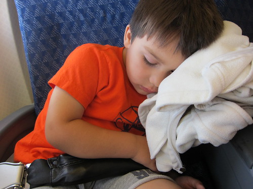 Sleepy Finn on the DFW-BZE flight