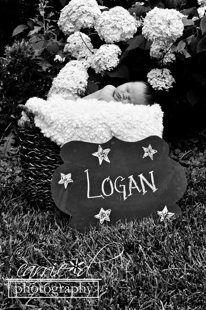 Logan 6-25-2011 576BLOG