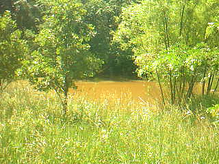 large pond