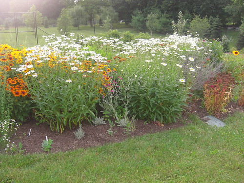 Out of Control Flower and Herb Bed