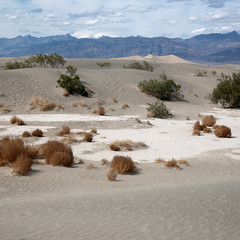 mesquite flat dunes