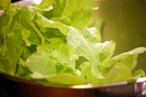 lettuce from the garden