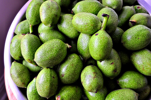 Green Walnuts Closeup