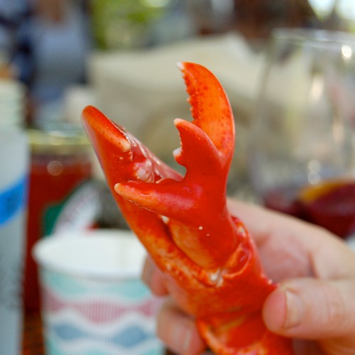 freaky lobster claw