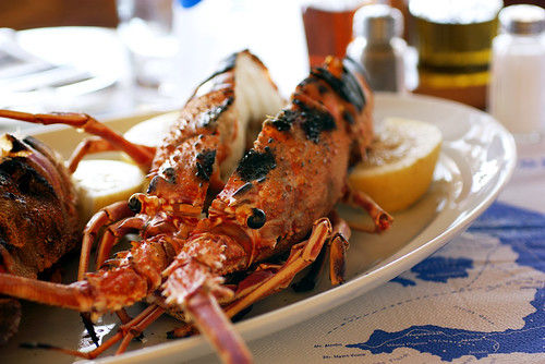 spiny lobster @ dimitris