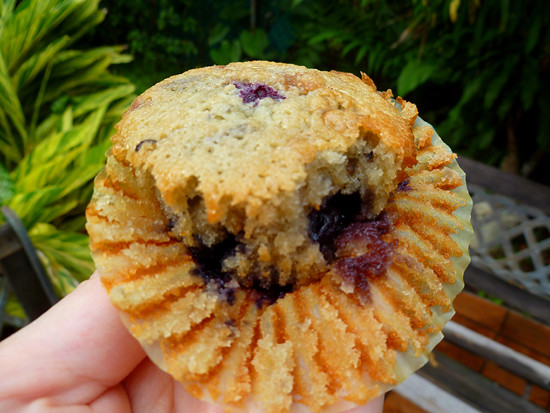 07 July 04 - Blueberry Muffins (2)